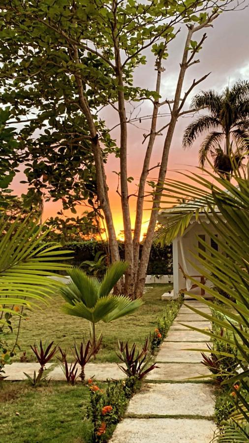 Punta Popy Boutique Hotel (Adults Only) Las Terrenas Kültér fotó