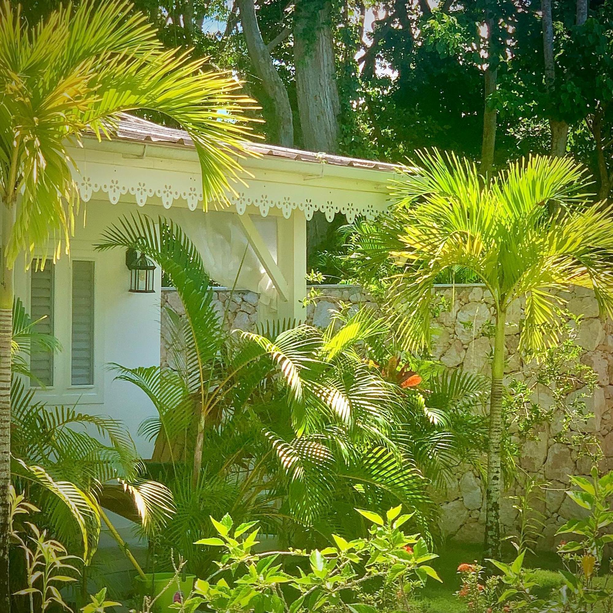 Punta Popy Boutique Hotel (Adults Only) Las Terrenas Kültér fotó